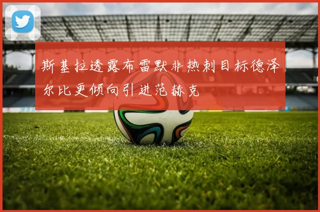 斯基拉透露布雷默非热刺目标德泽尔比更倾向引进范赫克